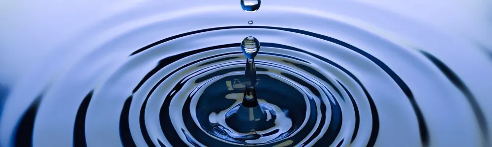 薄紫色の水面にできた波紋