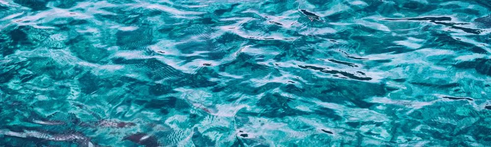 明るい緑がかった穏やかな海面