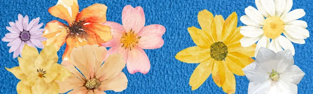 青色の背景に黄色や白色、ピンク色の花々の画像